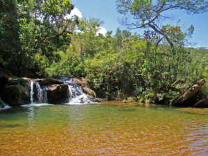 Floresta Estadual do Uaimií