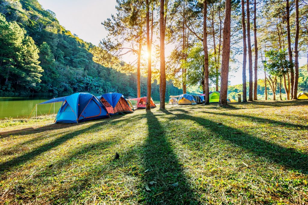 barracas de camping na floresta