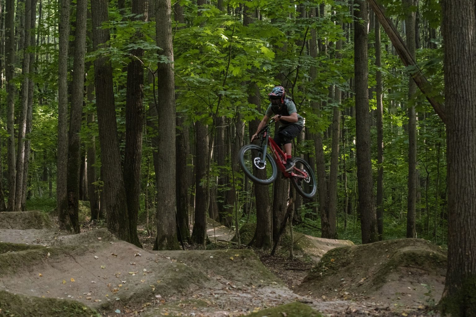 freeride bike